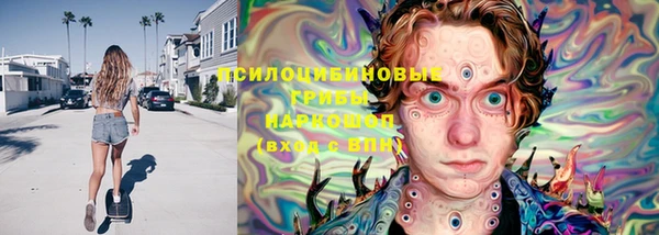 индика Аркадак