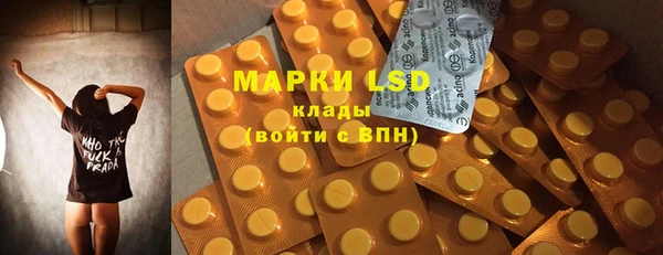 индика Аркадак