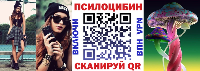 blacksprut   Бабаево  Галлюциногенные грибы мицелий 