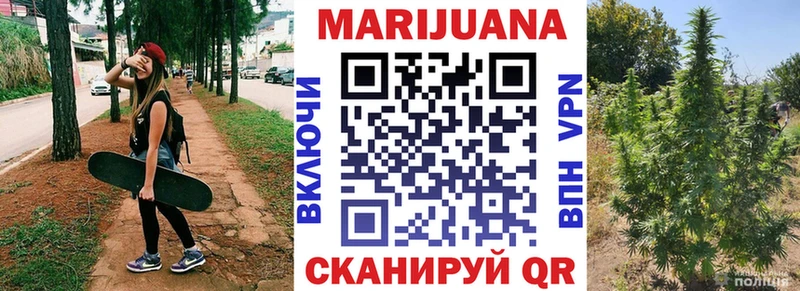 продажа наркотиков  Бабаево  Шишки марихуана сатива 